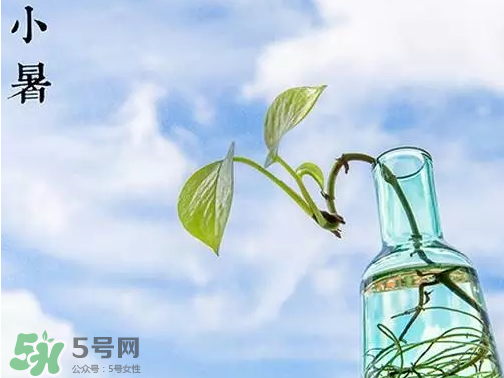 小暑是頭伏嗎？小暑是初伏嗎？