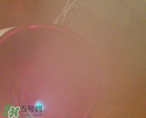 松下蒸臉器和金稻哪個好？松下蒸臉器和金稻蒸臉器對比