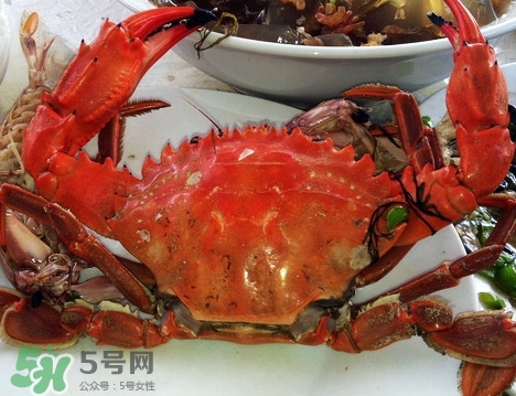 石夾紅螃蟹怎么吃？石夾紅螃蟹煮多久