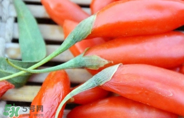 青海和寧夏枸杞哪個好？青海枸杞和寧夏枸杞的區(qū)別