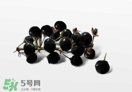 新鮮枸杞多少錢(qián)一斤？2017枸杞鮮果價(jià)格