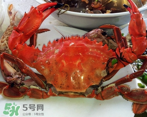 石夾紅螃蟹什么時候有？石夾紅螃蟹什么時候最肥