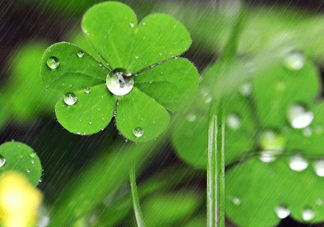 2017年小暑會下雨嗎？小暑這一天下雨好嗎？