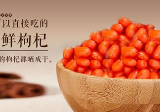 枸杞鮮果能吃嗎？鮮枸杞好還是干枸杞好