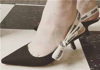 dior貓跟鞋多少錢(qián)？dior貓跟鞋價(jià)格