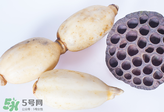 蓮蓬和蓮藕一樣嗎？蓮蓬和蓮藕的區(qū)別
