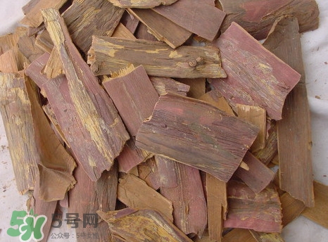 紅豆杉樹皮多少錢一斤？2017紅豆杉市場價