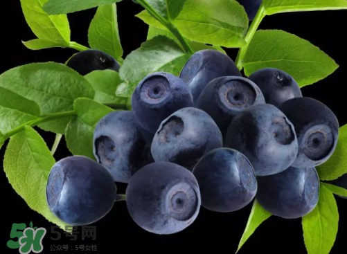 新鮮藍(lán)莓可以直接吃嗎？新鮮藍(lán)莓怎么吃才好吃？