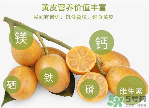 孕婦可以吃黃皮嗎？孕婦吃黃皮有什么好處