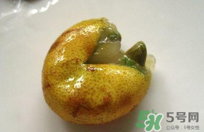 黃皮果核能治療什么??？黃皮核的功效與作用