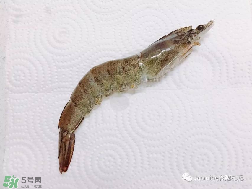 活基圍蝦怎么保存？活基圍蝦怎么處理干凈？