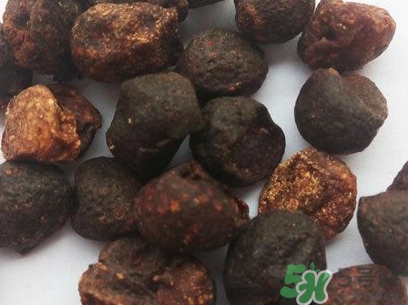山黃皮的功效是什么？山黃皮的功效與作用