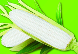 白玉米煮后變黃能吃嗎？白玉米為什么變黃了？