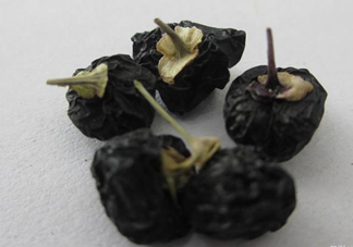 黑枸杞可以和菊花一起喝嗎？菊花和黑枸杞一起喝好嗎