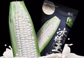 微玉冰糖玉米可以生吃嗎？微玉冰糖玉米安全嗎？