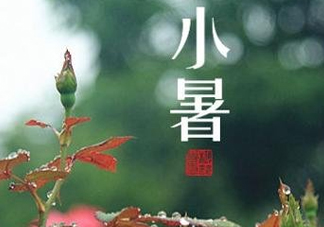 小暑種什么菜？小暑為什么要種牽牛花？