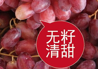 ?無籽紅提?孕婦能吃嗎吃嗎？孕婦能不能吃無籽紅提？
