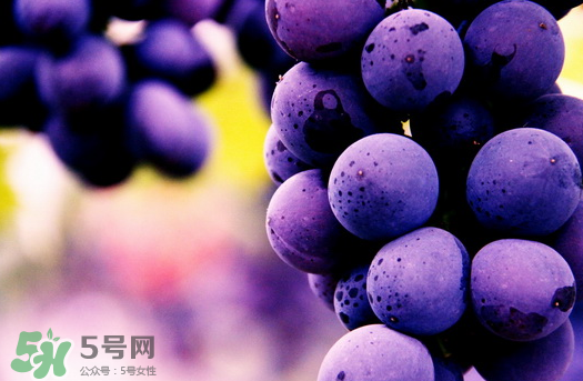 夏黑葡萄多少錢(qián)一斤？夏黑葡萄怎么挑選？