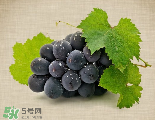 夏黑葡萄多少錢(qián)一斤？夏黑葡萄怎么挑選？