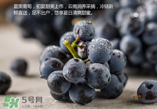 夏黑葡萄皮能吃嗎？夏黑葡萄怎么吃？
