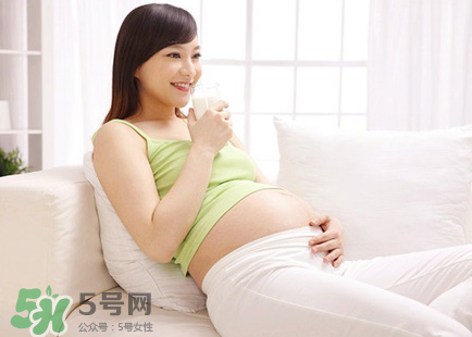 篙苞孕婦能吃嗎？孕婦能不能吃篙苞？