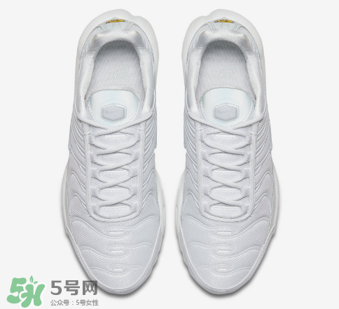 nike air max plus ice blue多少錢？耐克氣墊plus冰藍(lán)配色價格