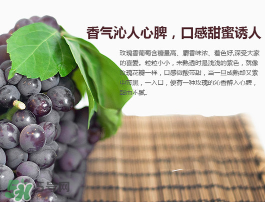 玫瑰香葡萄孕婦能吃嗎？孕婦可以吃玫瑰香葡萄嗎？