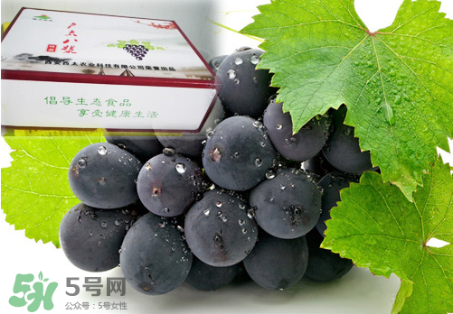 戶太八號(hào)葡萄什么時(shí)候套袋？戶太八號(hào)葡萄什么月份套袋？
