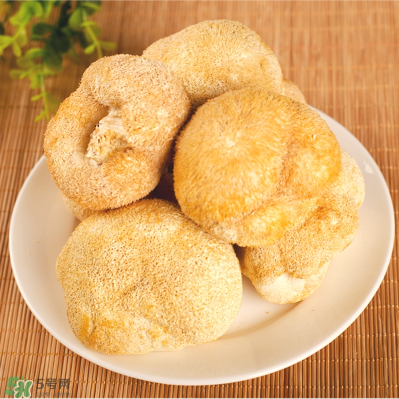 猴頭菇怎樣吃治胃??？猴頭菇能治胃病嗎？