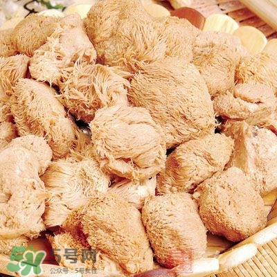 猴頭菇怎樣吃治胃病？猴頭菇能治胃病嗎？