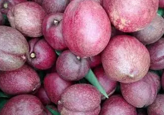黑桃是什么水果？吃黑桃有什么好處？