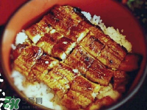 鰻魚(yú)飯日語(yǔ)怎么說(shuō)？鰻魚(yú)飯是怎么做的