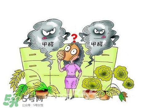 甲醛怎么治理？除甲醛最有效方法