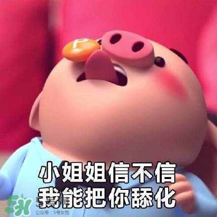 豬小屁表情包是什么？豬小屁表情包為什么這么火？
