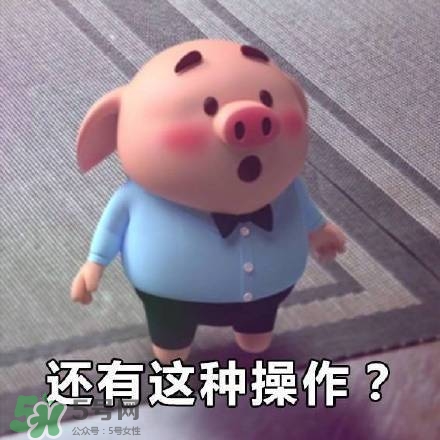 豬小屁表情包是什么？豬小屁表情包為什么這么火？