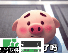 豬小屁多少錢(qián)一個(gè)？豬小屁哪里可以買(mǎi)到