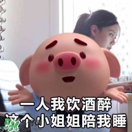 豬小屁多少錢(qián)一個(gè)？豬小屁哪里可以買(mǎi)到