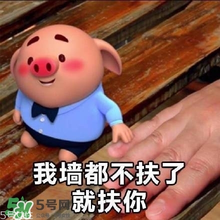 豬小屁多少錢(qián)一個(gè)？豬小屁哪里可以買(mǎi)到