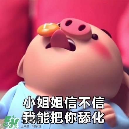 豬小屁多少錢(qián)一個(gè)？豬小屁哪里可以買(mǎi)到