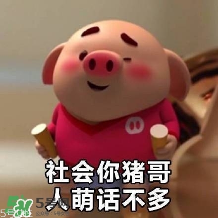 豬小屁多少錢(qián)一個(gè)？豬小屁哪里可以買(mǎi)到