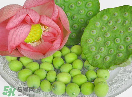 蓮蓬是水果嗎？蓮蓬是水果還是蔬菜？