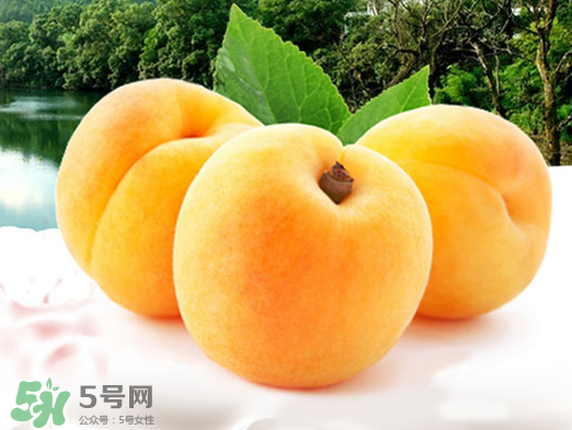 黃桃是酸性還是堿性？黃桃罐頭是酸性還是堿性？