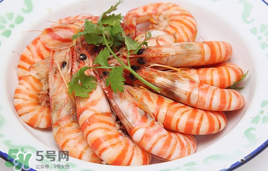 斑節(jié)蝦是九節(jié)蝦嗎？斑節(jié)蝦和九節(jié)蝦的區(qū)別