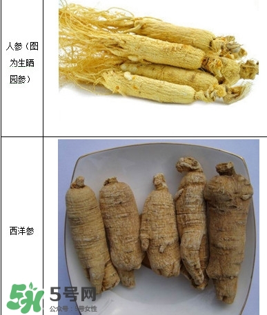 西洋參怎么吃效果最好？西洋參與人參的區(qū)別