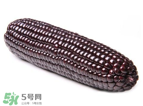 紫玉米會(huì)掉色嗎？紫玉米怎么會(huì)掉色？