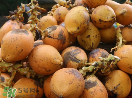 椰子什么時(shí)候成熟？椰子什么時(shí)候吃最好
