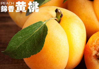 黃桃和香蕉能一起吃嗎？ 香蕉可以和黃桃一起吃嗎？
