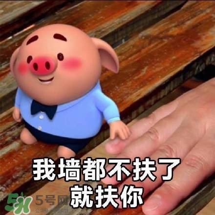 豬小屁表情包是什么？豬小屁表情包為什么這么火？