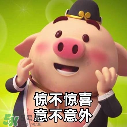 豬小屁表情包是什么？豬小屁表情包為什么這么火？