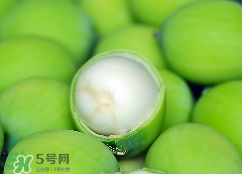 新鮮蓮子多少錢一斤？新鮮蓮子哪里有賣？